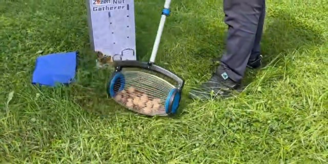 Amazon.com : Zozen Nut Gatherer, Acorn Picker Upper, Pecan Picker